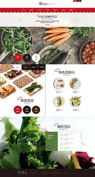 天津奔唐網絡 打造綠色養生食品官網的開發與維護之道